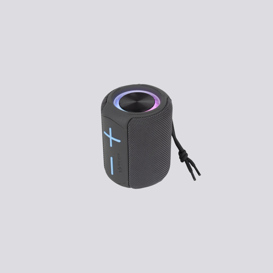 Transportabel Bluetooth højttaler